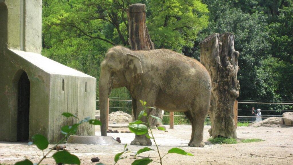 Tierpark Hellabrunn