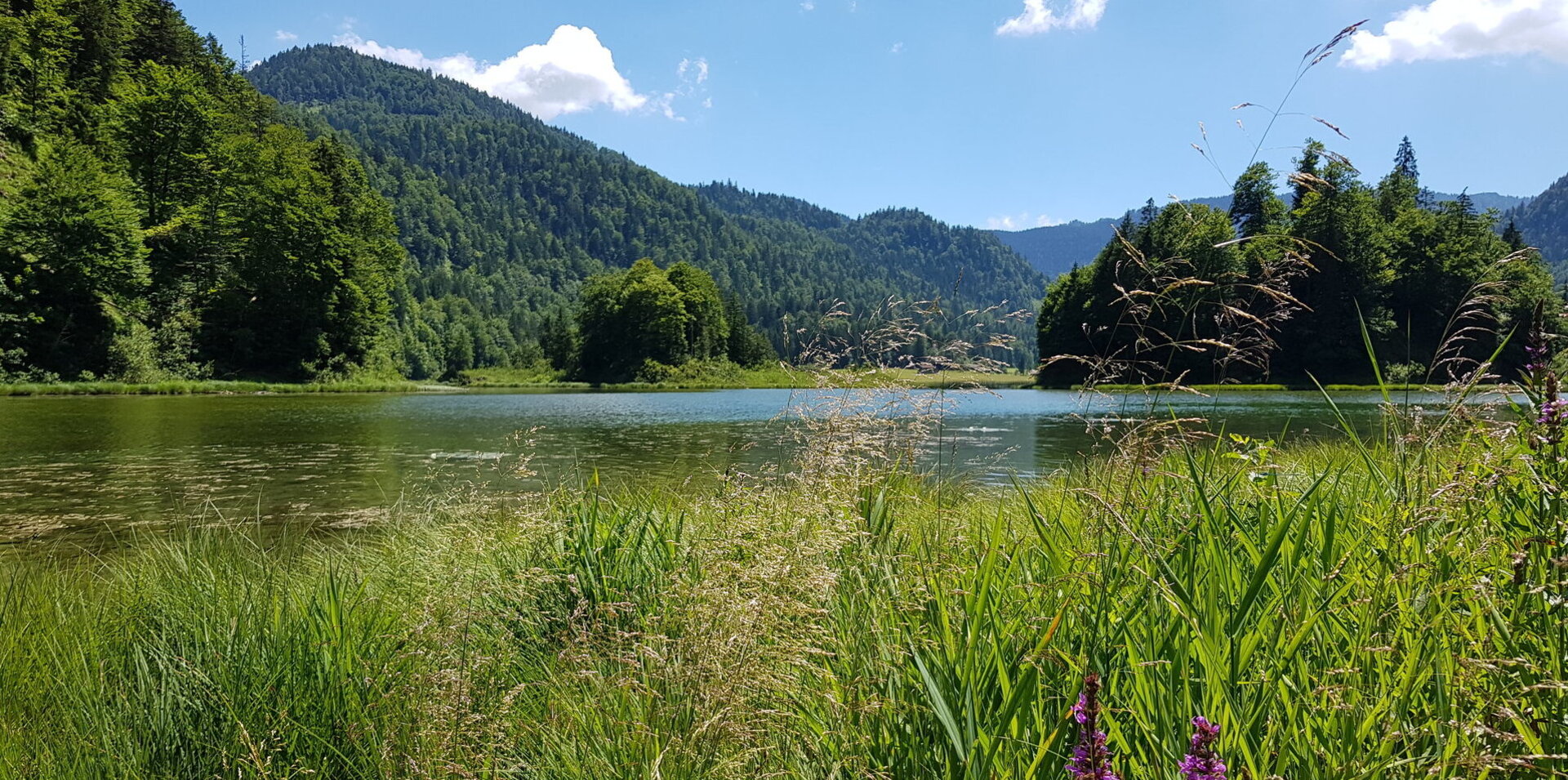 Ferienwohnungen in Reit am Winkl